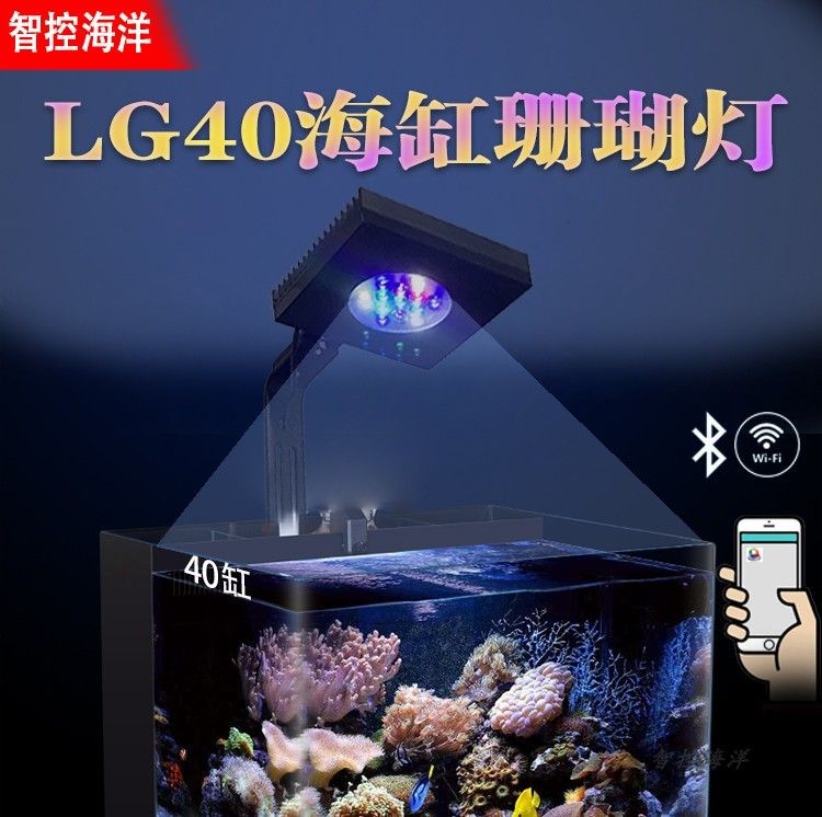 魚缸燈品牌十大排名（魚缸燈十大排名）