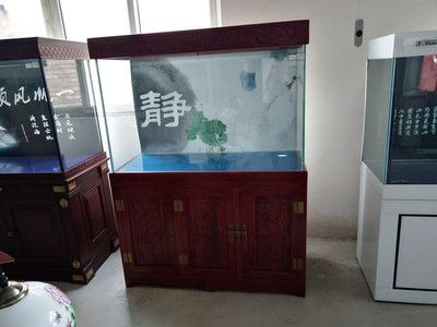 定制魚缸的放水方法適用于大多數魚缸，簡單易行，：定制魚缸放水方法