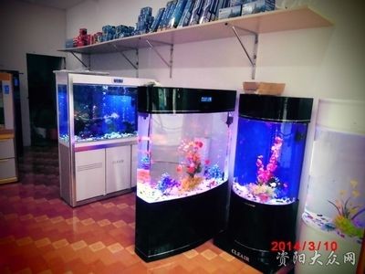 魚缸推薦（在選擇魚缸時有幾個關鍵因素需要考慮以下是一些推薦的）