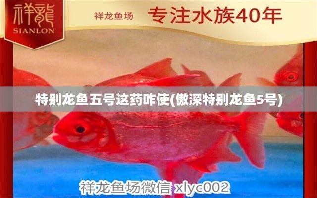 龍魚5號藥對魚的傷害：龍魚5號藥對魚體的傷害主要來自其化學成分和化學成分