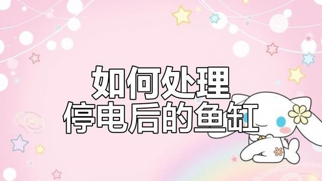 龍魚魚缸停電了怎么辦 龍魚魚缸停電了怎么辦 龍魚百科 第1張