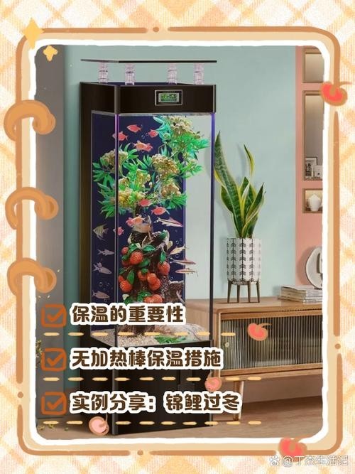 龍魚魚缸停電了怎么辦 龍魚百科 第5張 龍魚魚缸停電了怎么辦 龍魚魚缸停電了怎么辦 龍魚百科 第5張