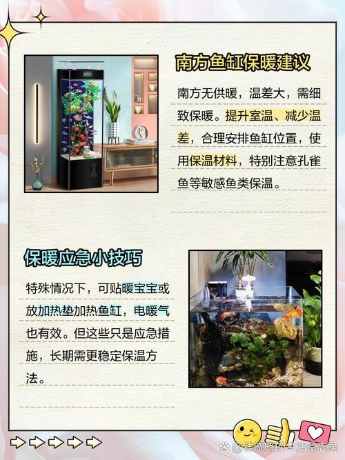 龍魚魚缸停電了怎么辦 龍魚百科 第7張 龍魚魚缸停電了怎么辦 龍魚魚缸停電了怎么辦 龍魚百科 第7張
