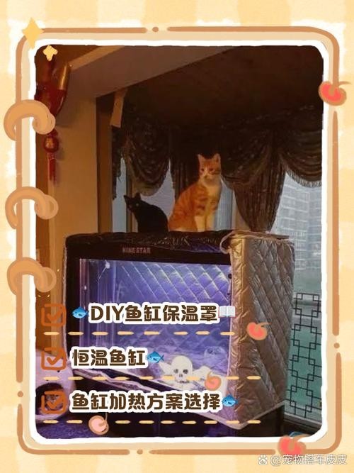 龍魚魚缸停電了怎么辦 龍魚百科 第9張 龍魚魚缸停電了怎么辦 龍魚魚缸停電了怎么辦 龍魚百科 第9張