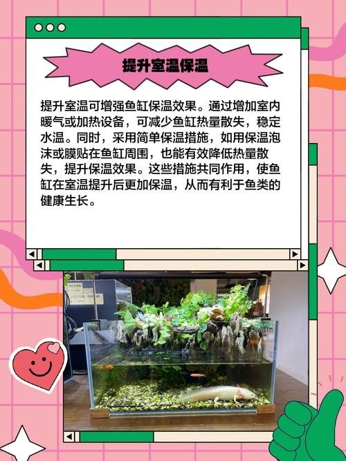 龍魚魚缸停電了怎么辦 龍魚百科 第4張 龍魚魚缸停電了怎么辦 龍魚魚缸停電了怎么辦 龍魚百科 第4張