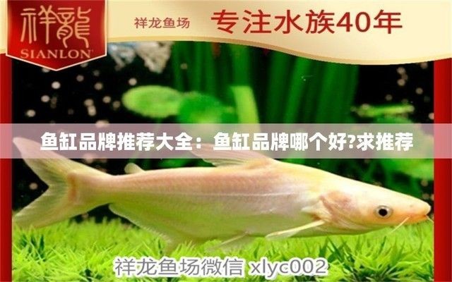 魚缸品牌推薦排行榜最新，魚缸品牌性價比排行