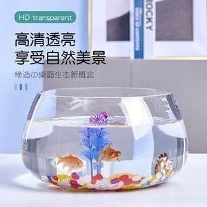 魚缸品牌推薦排行榜最新，魚缸品牌性價比排行
