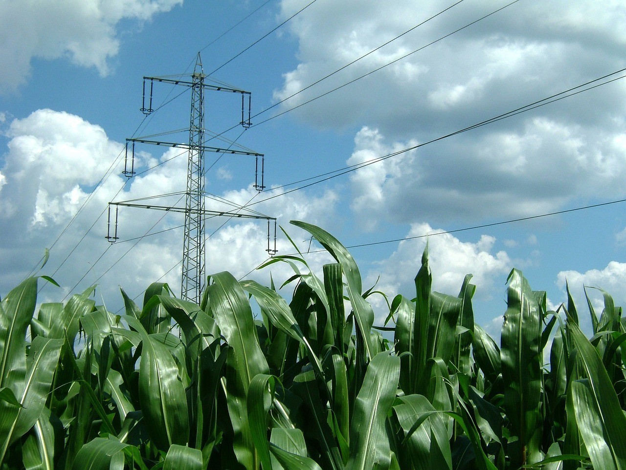 撫寧縣紹臣養殖有限公司（撫寧縣紹臣養殖有限公司地址）
