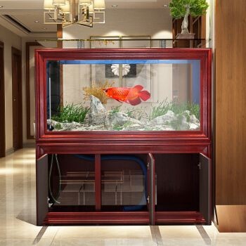 Cyangyang魚缸，cyangyang魚缸的使用技巧