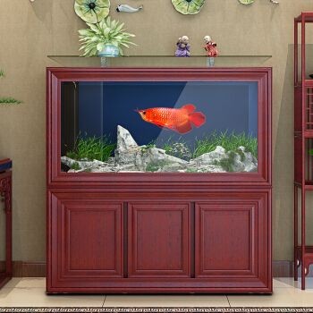Cyangyang魚缸，cyangyang魚缸的使用技巧
