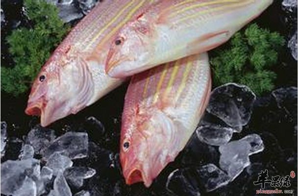 彩蝶魚缸廠家銷售電話地址在哪里（彩蝶魚缸官網(wǎng)購買流程）