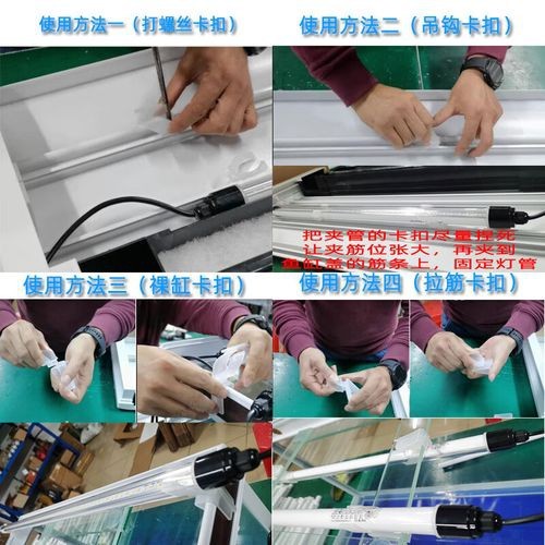 有哪些適合金龍魚的水草燈？