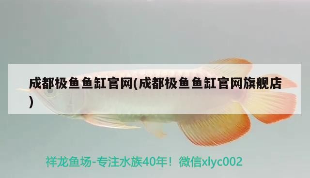 成都極魚魚缸官網(成都極魚魚缸官網旗艦店)