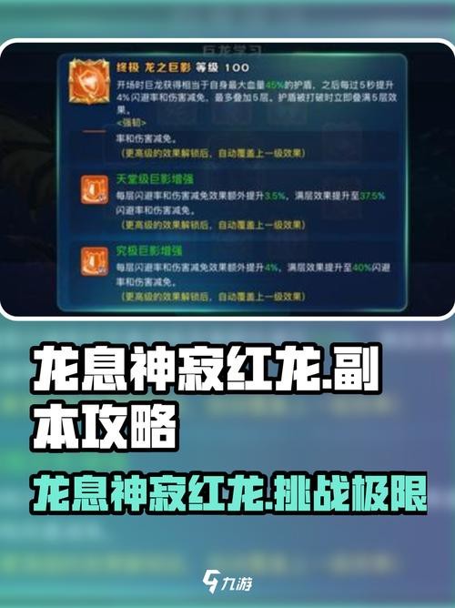 如何與隊友更好地配合對抗紅龍？