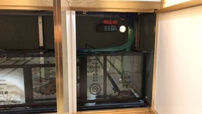 漢霸魚缸怎么樣好用嗎：漢霸魚缸以其高品質的材料制作、簡潔大方的材料制作、簡潔大方