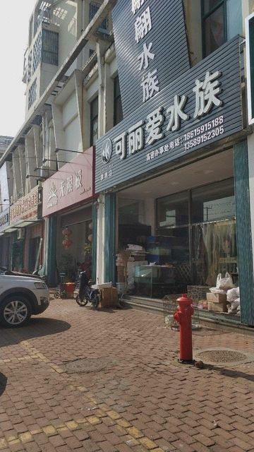 濰坊龍魚專賣店地址查詢大全