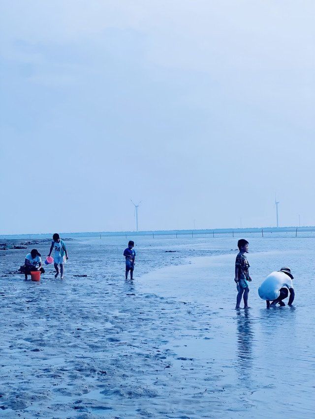 濰坊龍魚專賣店地址查詢大全