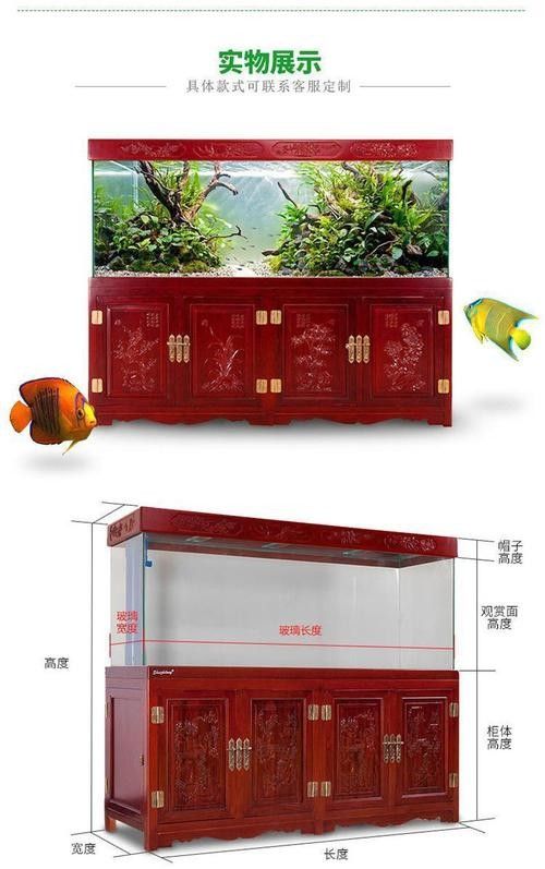 龍魚(yú)的養(yǎng)殖方法和注意事項(xiàng)圖片大全