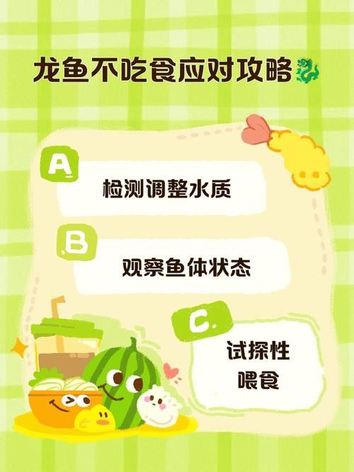 龍魚(yú)的養(yǎng)殖方法和注意事項(xiàng)圖片大全
