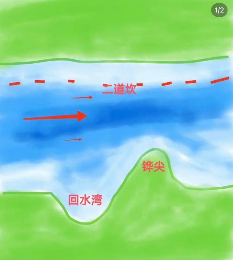 濡沫江湖金龍魚在哪兒