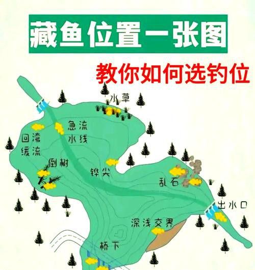 濡沫江湖金龍魚在哪兒