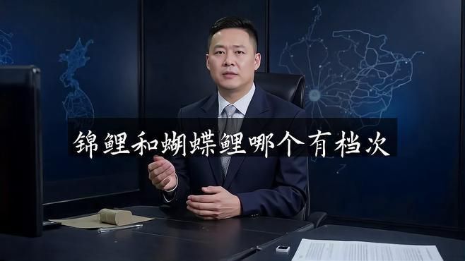 錦鯉和蝴蝶鯉哪個有檔次 錦鯉和蝴蝶鯉哪個有檔次 龍魚百科 第1張