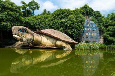 龍魚打包可以帶上高鐵嗎，：攜帶龍魚上高鐵可以帶上高鐵嗎，龍魚打包可以帶上高鐵嗎 龍魚打包可以帶上高鐵嗎，：攜帶龍魚上高鐵可以帶上高鐵嗎，龍魚打包可以帶上高鐵嗎 龍魚百科 第3張