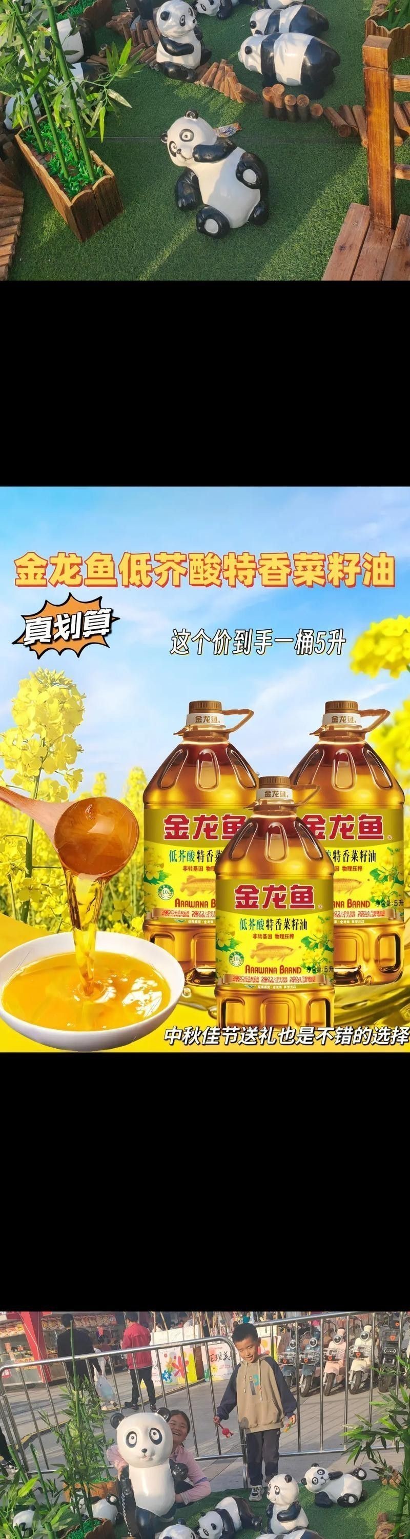 金龍魚標(biāo)志圖片