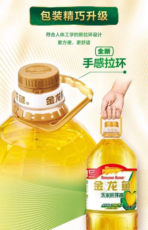 金龍魚標(biāo)志圖片