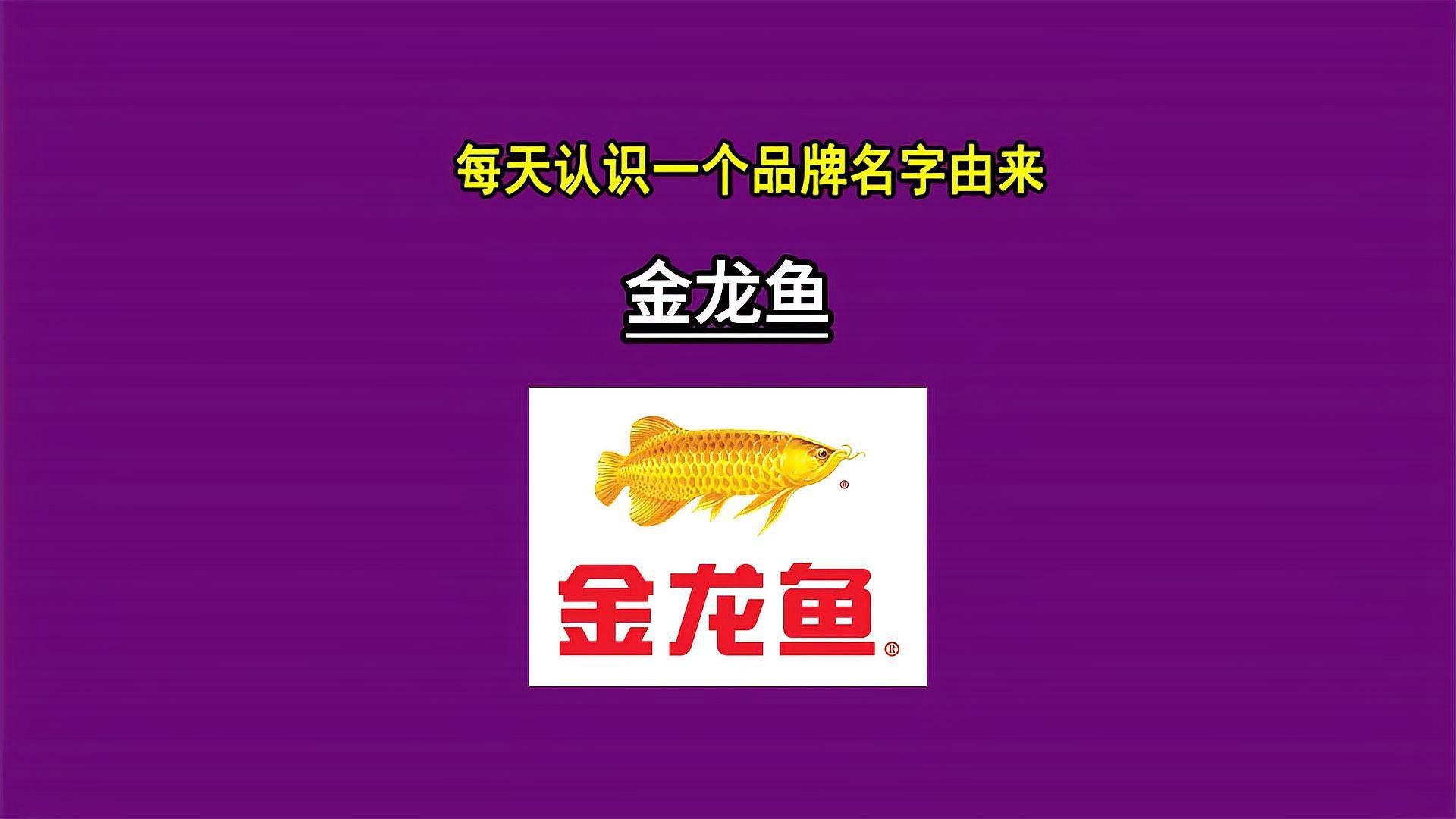 金龍魚標(biāo)志圖片