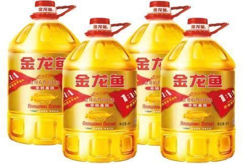 金龍魚標(biāo)志圖片
