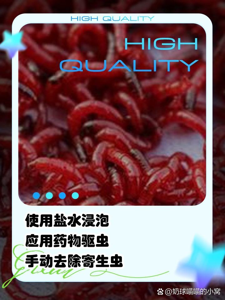 紅龍魚多久需要驅(qū)蟲一次？