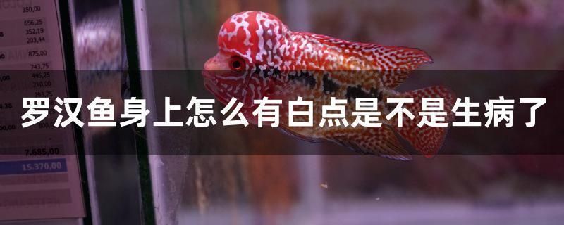 雷龍魚白點(diǎn)病的治療方法：雷龍魚白點(diǎn)病治療方法