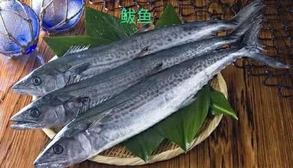 龍魚腹下黑色斑點：龍魚腹下黑色斑點是怎么回事？