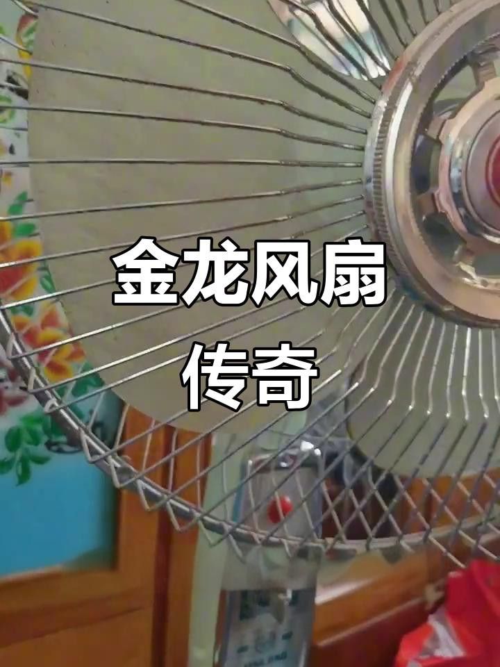 如何聯系金龍電扇的售后服務？
