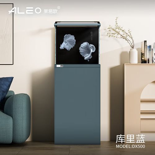推薦幾款適合藍底過背金龍的魚缸品牌