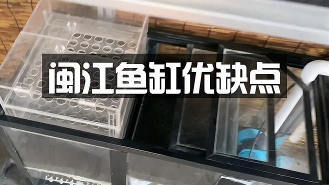 推薦幾款適合藍底過背金龍的魚缸品牌