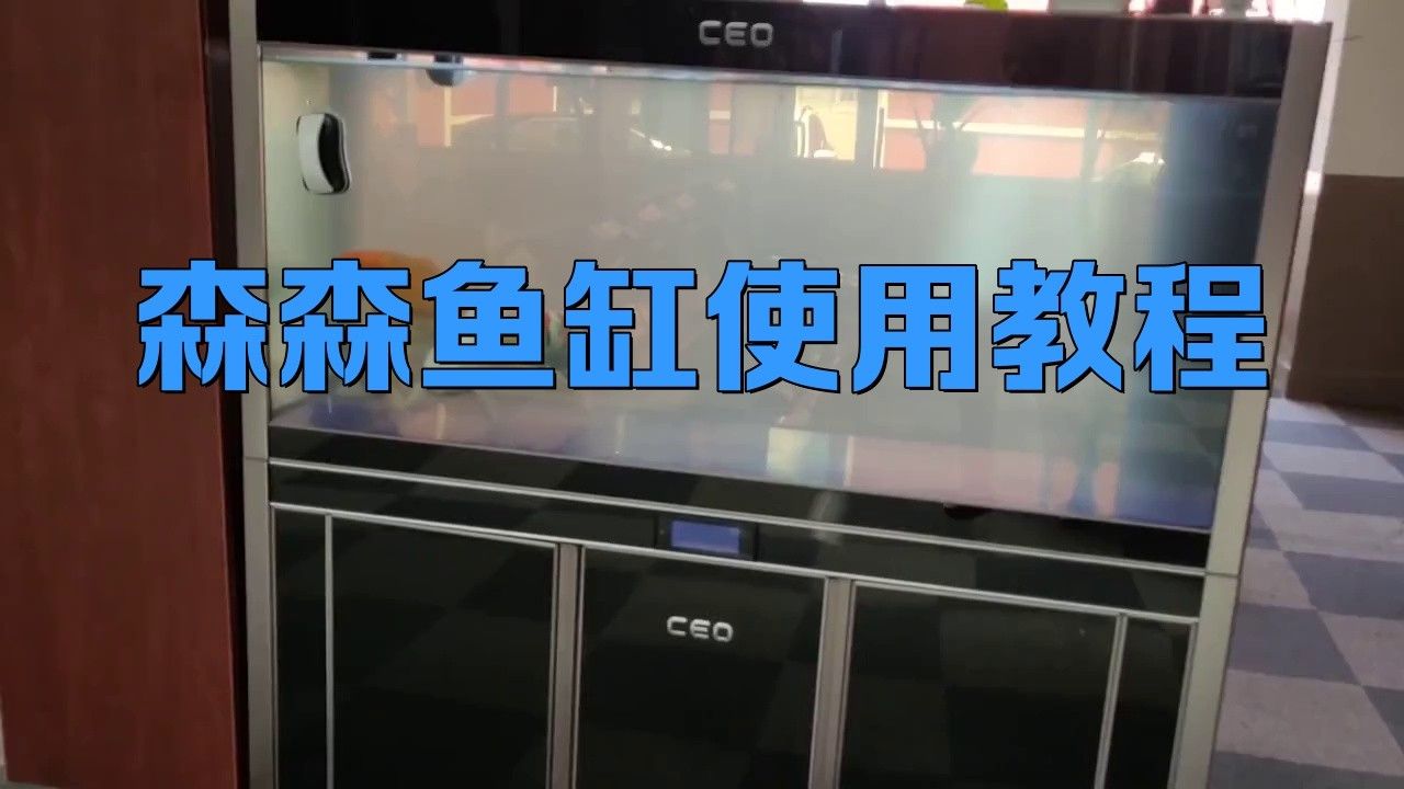 推薦幾款適合藍底過背金龍的魚缸品牌