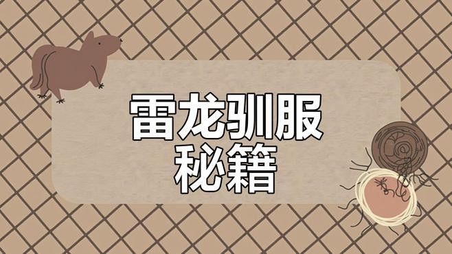 雷龍魚吃什么飼料馴服得快