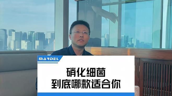瑪豆的水族產品怎么樣