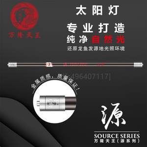 萬隆天王龍魚（萬隆天王龍魚怎么樣？）
