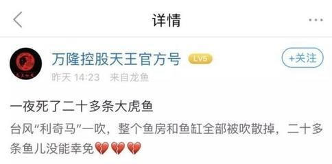 萬隆天王龍魚（萬隆天王龍魚怎么樣？）