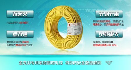 深圳金龍魚電線廠家在哪里（深圳金龍羽電線廠家）