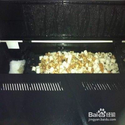 魚缸里的水總是不清透怎么回事（如何改善魚缸水質）