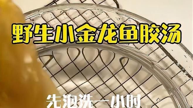 金龍魚膠作用