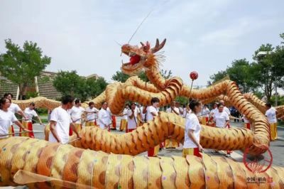 龍魚世界紀錄（世界最長龍舟在吉尼斯世界紀錄中創造了世界紀錄）