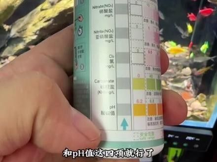 銀龍魚身上發(fā)紅怎么回事圖片