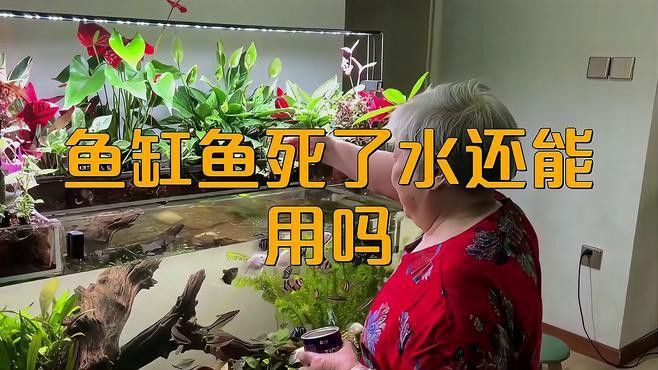 紅龍魚死亡后需要更換魚缸水嗎？