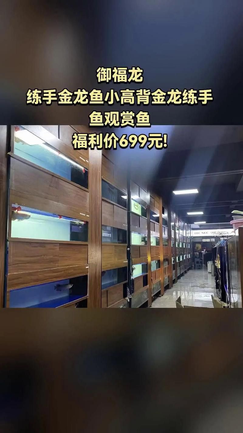 金龍魚有哪些平臺在賣