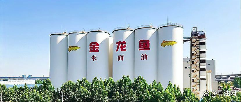 金龍魚有哪些平臺在賣